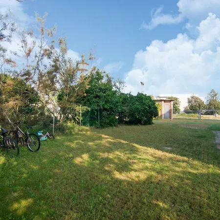 Spacious In With Terrace